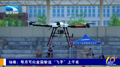 仙桃：每月可向全国输送“飞手”上千名