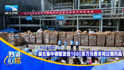 湖北集中销毁货值1660余万元假劣和过期药品