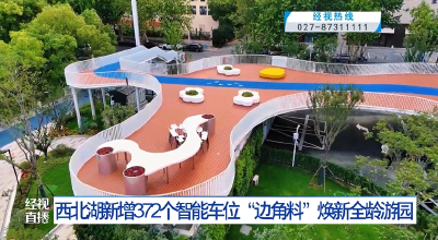 西北湖新增372个智能车位 “边角料”焕新全龄游园