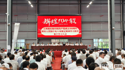 锲而不舍落实中央八项规定精神｜黄石阳新王英镇千余名党员激情燃烧 建功支点