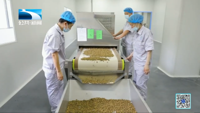 鄂西北最大中药饮片生产项目今日试运行