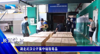 湖北武汉公开集中销毁毒品