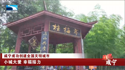 咸宁：小城大爱 幸福接力