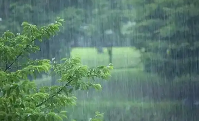 最高37℃！今日鄂东仍有小雨 明后天湖北省转晴升温