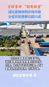 湖北夏粮收购市场平稳 农民售粮超六成