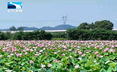 2025年6月17日长江新闻