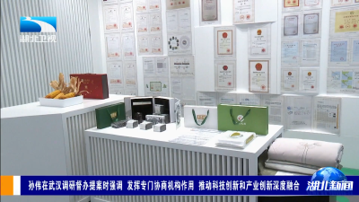 孙伟在武汉调研督办提案时强调 发挥专门协商机构作用 推动科技创新和产业创新深度融合