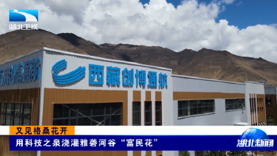 又见格桑花开 |  用科技之泉浇灌雅砻河谷“富民花”