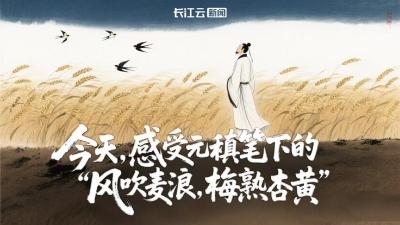 AI游中国 | 今天，感受元稹笔下的“风吹麦芒，梅熟杏黄”