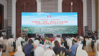 今夏洪湖鲜莲蓬全国可享 保鲜时间延长至15天左右