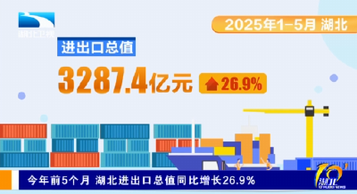 今年前5个月 湖北进出口总值同比增长26.9%