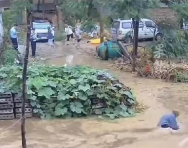老人摔倒在水中民警未搀扶？河南太康警方：涉事两人被处理