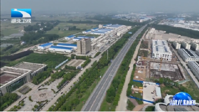 宁咏在天门调研时强调 汇聚侨心侨智侨力 共同建设新时代侨乡