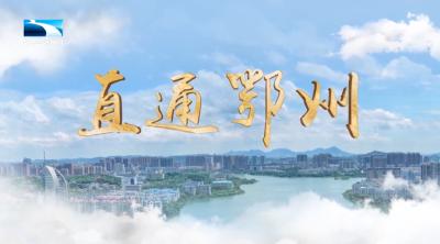 直通鄂州 | 峒山村：以土地适度规模经营 推动发展要素向农村聚集