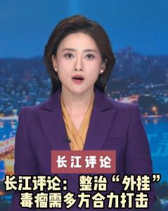 长江评论： 整治“外挂”毒瘤需多方合力打击
