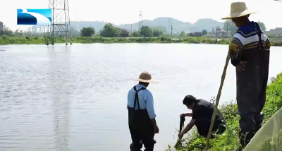 新时代的我们|周红胜：湖北唯一入选“全国水产典型” 以科技铺就乡亲致富路