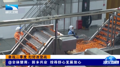 奋战二季度 打好攻坚战丨@全体楚商：回乡兴业 投得舒心发展放心