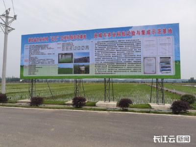 湖北省农业科技“五五”工程暨科技助力 秋粮夺丰收现场推进会在应城召开