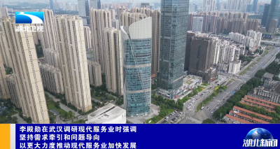 李殿勋在武汉调研现代服务业