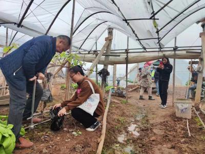 湖北省测土配方施肥二十年：科技赋能绿色农业，沃土良田谱新篇