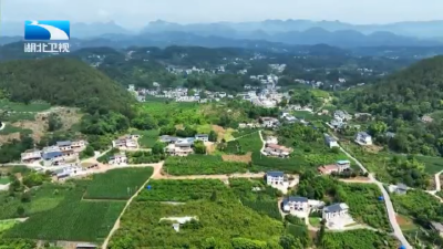 2025年6月12日湖北十分