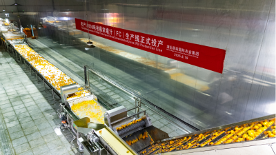 宜昌秭归：首条年产万吨级浓缩橙汁生产线建成投产