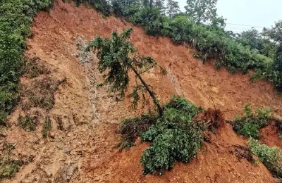 湖北发布地质灾害气象风险预警 这些地方发生崩塌、滑坡、泥石流风险较高  