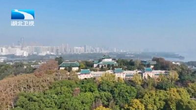 @高考毕业生 湖北超半数高校开设机器人相关专业