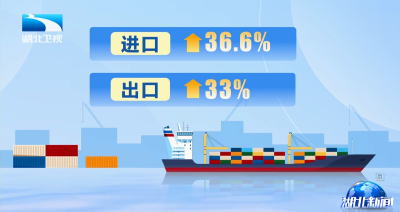 十年增长248% 湖北与中亚贸易额突破41亿元