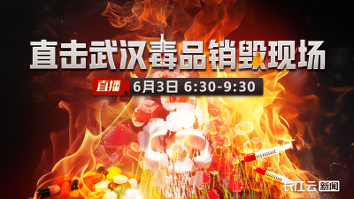 直播丨直击武汉毒品销毁现场！