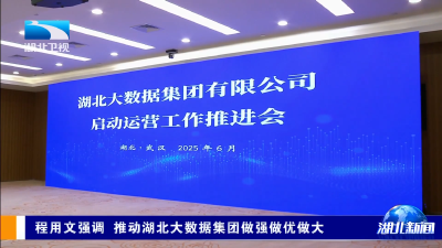 程用文强调 推动湖北大数据集团做强做优做大