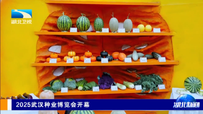 2025武汉种业博览会开幕