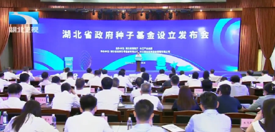 张文兵强调 重构政府引导基金体系 把科教优势转化为创新发展胜势