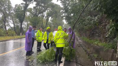 强降雨达341.5毫米！宜昌全市上下闻令而动全力应对 