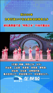 湖北打造10个在全国知名的“特色之乡”