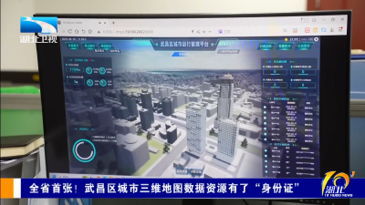 全省首张！武昌区城市三维地图数据资源有了“身份证”