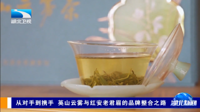 从对手到携手 英山云雾与红安老君眉的品牌整合之路