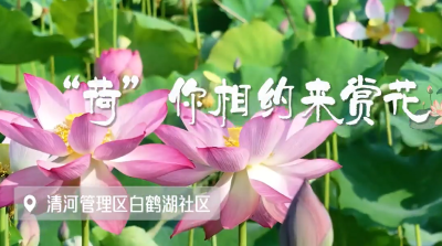 襄阳南漳：“荷”你来相约！