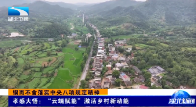 锲而不舍落实中央八项规定精神 | 孝感大悟：“云端赋能”激活乡村新动能