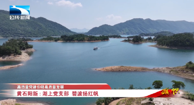 高质量党建引领高质量发展丨黄石阳新：湖上党支部  碧波扬红帆