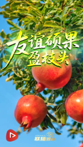 友谊硕果盈枝头