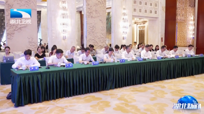湖北支点建设智库恳谈会中部专场在武汉举办