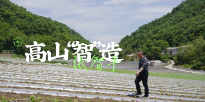 高山“智”造：张智平