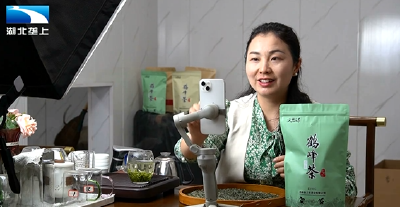 恩施鹤峰：坚持有机种茶  “茶山女孩”带富一方百姓