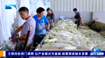 王艳玲赴荆门调研 以产业振兴为基础 统筹推进城乡发展
