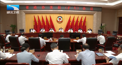 省政协召开党组会议 孙伟主持并讲话