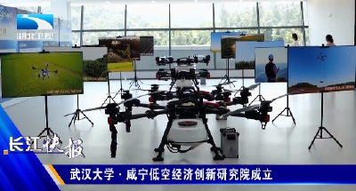 武汉大学·咸宁低空经济创新研究院成立