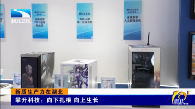 新质生产力在湖北｜攀升科技：向下扎根 向上生长