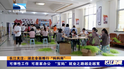 长江关注：湖北全面推行“妈妈岗”