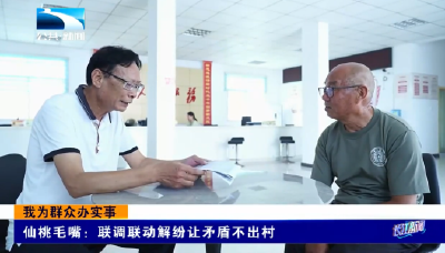 我为群众办实事丨仙桃毛嘴：联调联动解纷让矛盾不出村